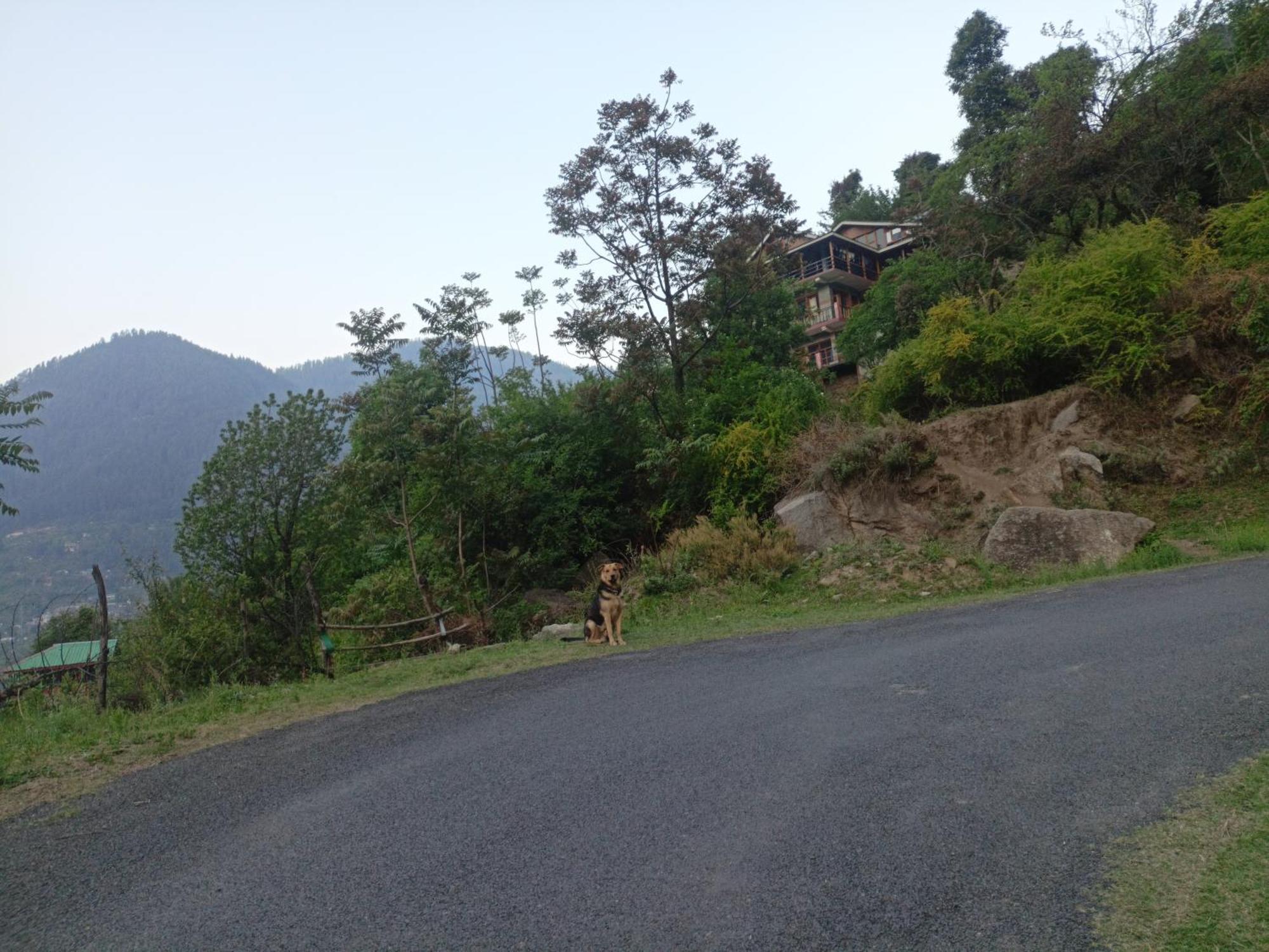 Tirthan Hilltop Home Stay Banjār Екстериор снимка