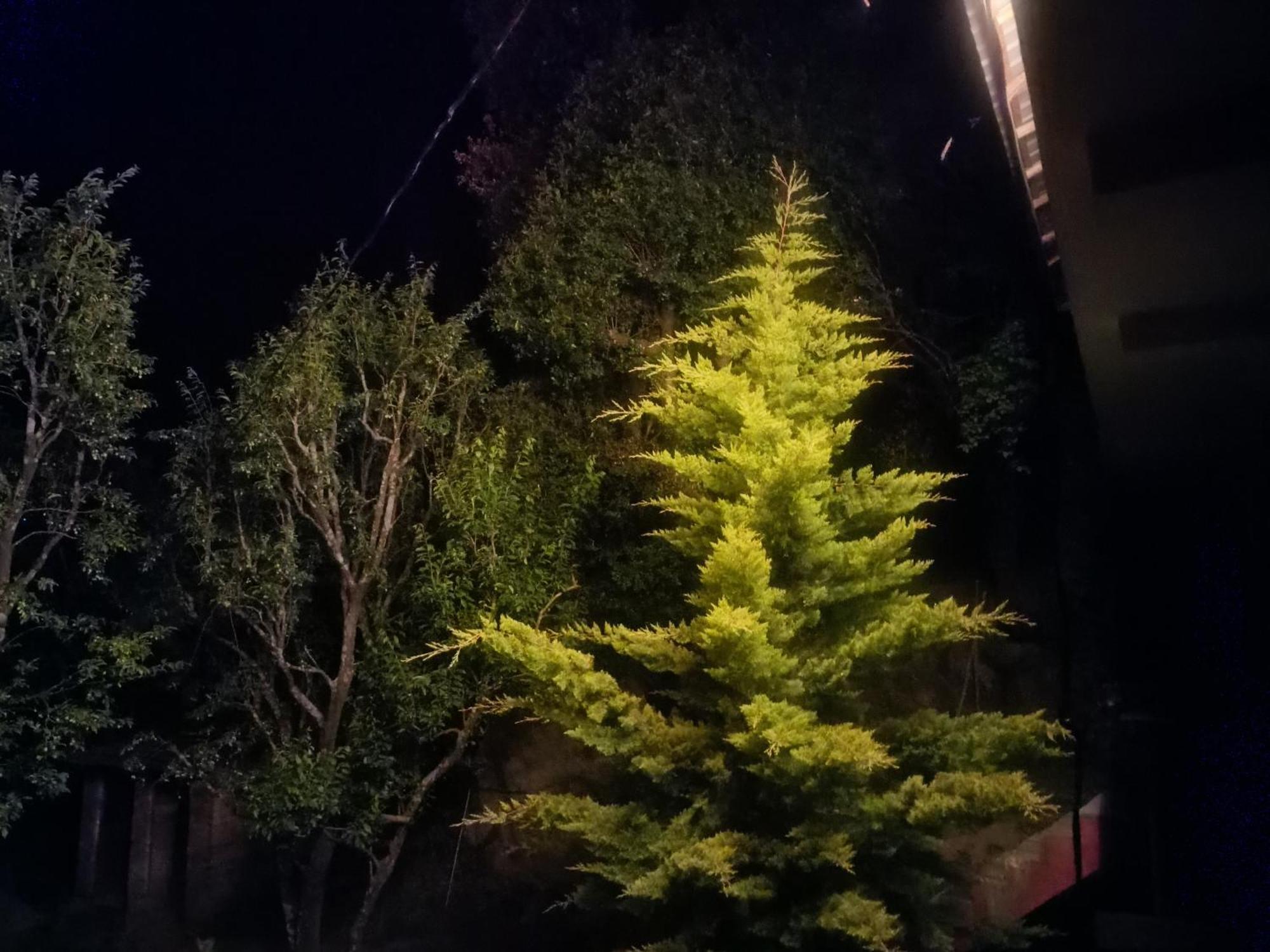 Tirthan Hilltop Home Stay Banjār Екстериор снимка